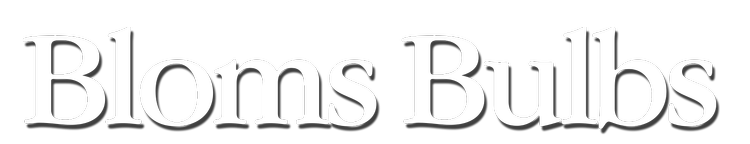 Bloms Bulbs Logo
